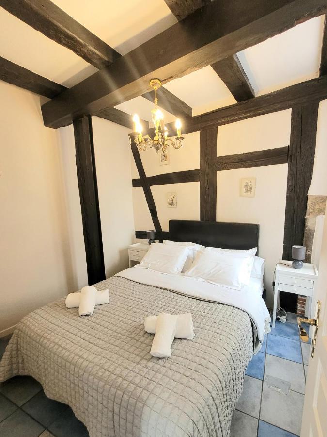 L'ambassadeur - Centre Appartement Colmar