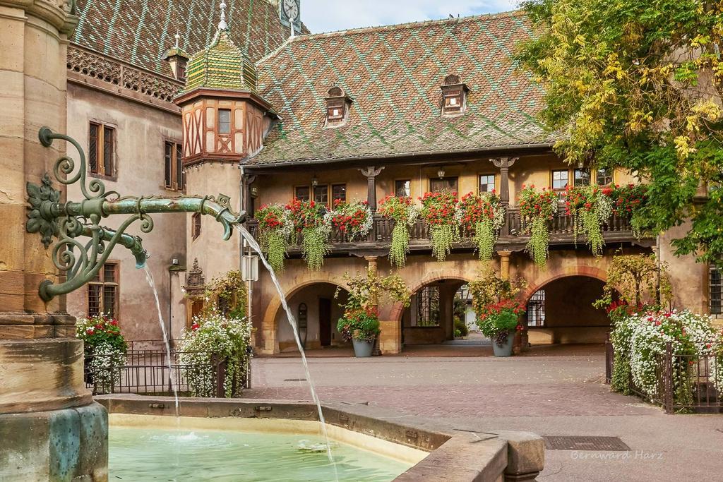 L'ambassadeur - Centre Apartment Colmar